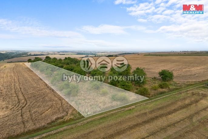 Prodej, Ovocný sad, Kralupy nad Vltavou