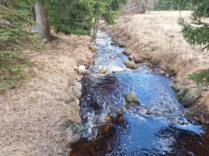 Prodej, Chata, Kalek