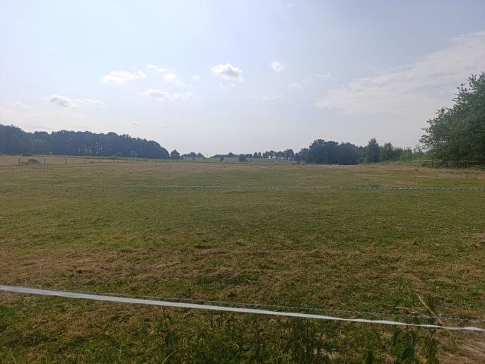 Pronájem, Obchod a služby, Hrádek nad Nisou