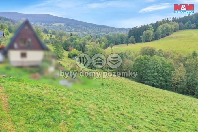 Prodej, Louka, Rokytnice nad Jizerou