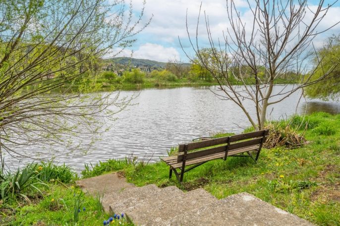 Prodej, Chata, Černošice