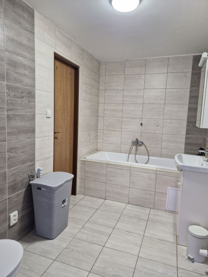 Pronájem, Atypický byt, Droužkovice