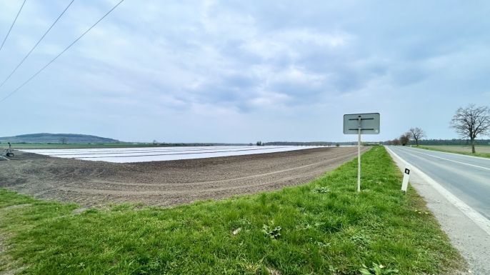 Prodej, Pole, Starý Vestec