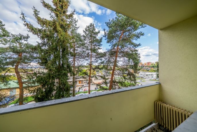 Prodej, Byt 1+1, Brno