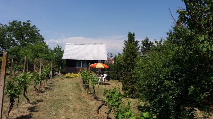 Prodej, Zahrada, Nový Šaldorf-Sedlešovice