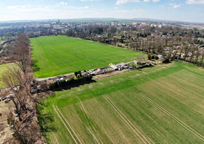 Prodej, Ostatní, Louny