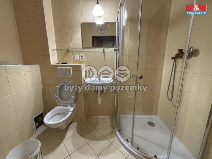 Pronájem, Byt 2+kk, Plzeň