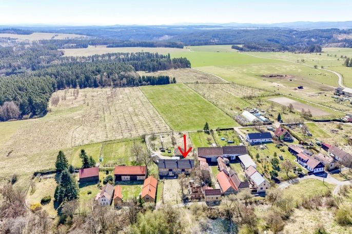 Prodej, Byt 2+1, Planá