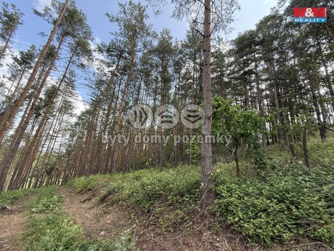 Prodej, Les, Chotilsko