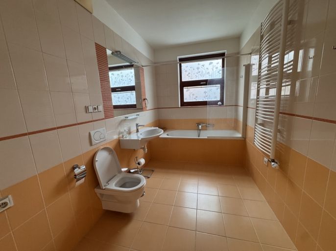 Pronájem, Byt 3+kk, Ostrava