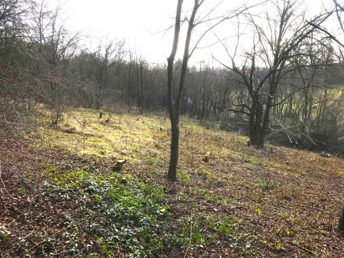 Prodej, Zahrada, Postoloprty