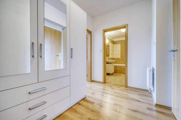 Pronájem, Byt 1+kk, Plasy