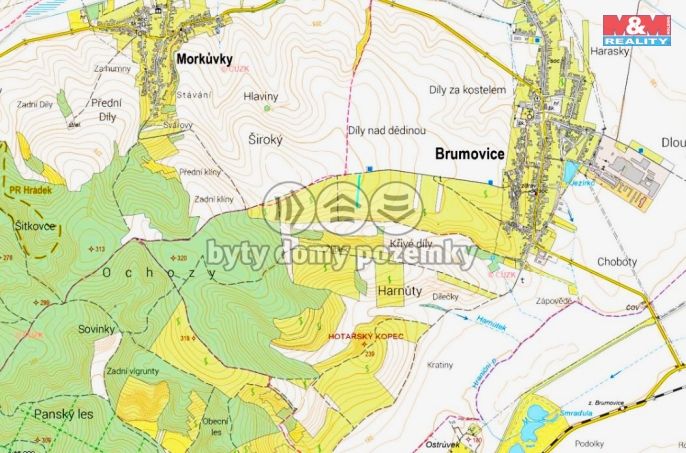 Prodej, Vinice, Brumovice