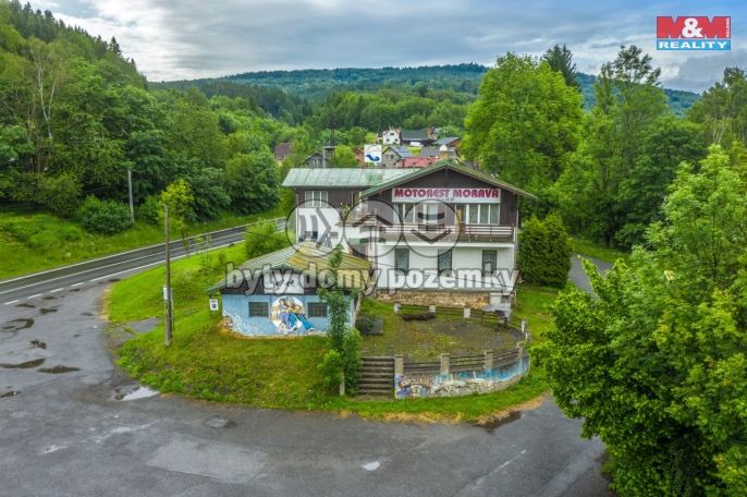 Prodej, Hotel, penzion, Plavy