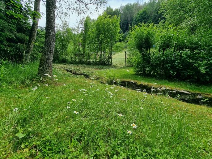 Prodej, Zahrada, Jindřichov