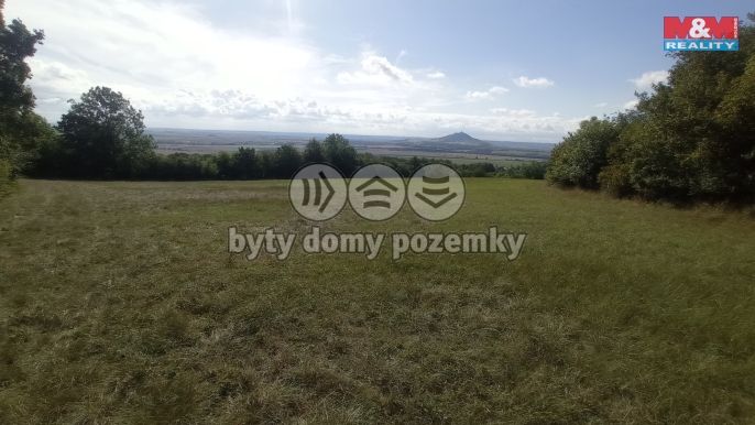 Prodej, Louka, Jenčice