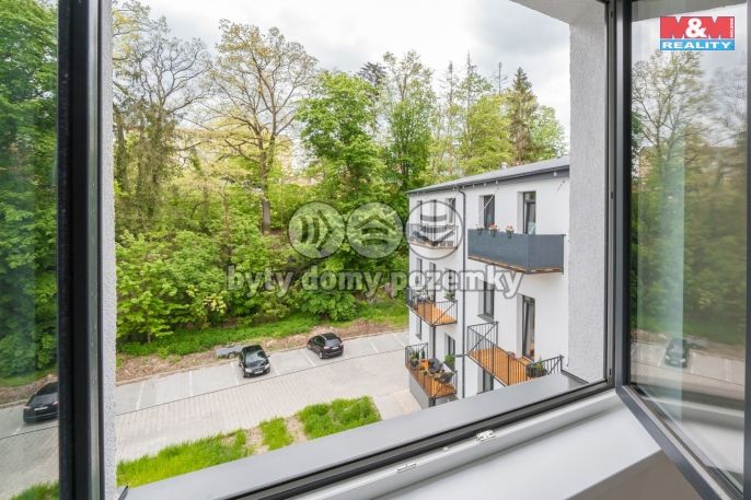 Pronájem, Byt 3+kk, Cheb