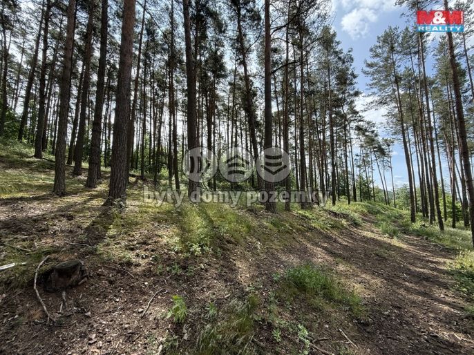 Prodej, Les, Chotilsko