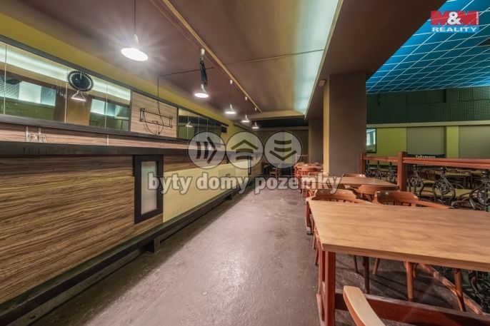 Prodej, Obchodní objekt, Český Brod