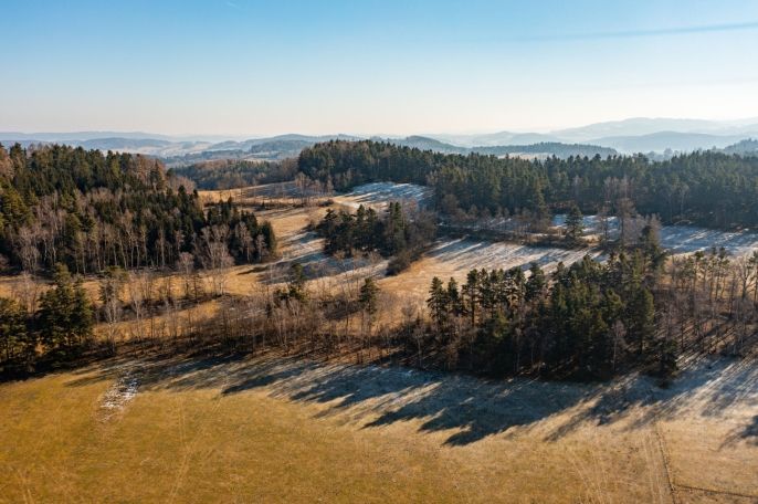 Prodej, Les, Nišovice