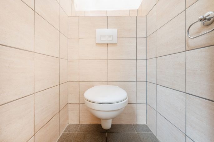 Pronájem, Výrobní objekt, Domažlice