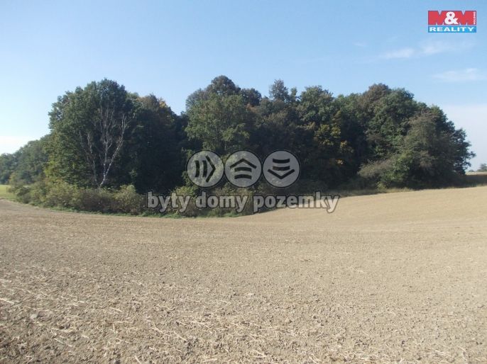 Prodej, Les, Ostrava