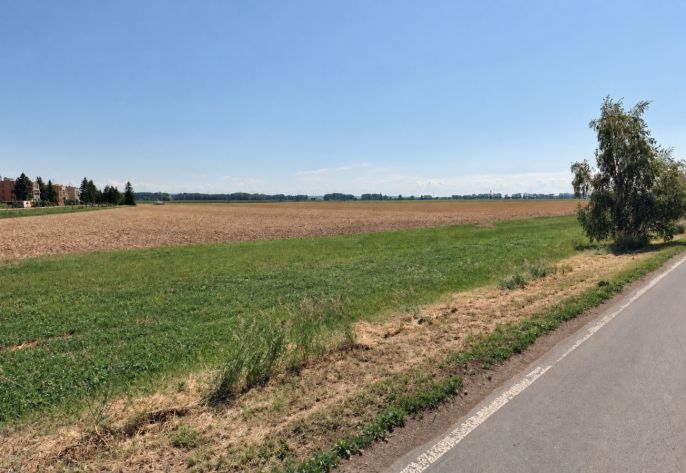 Prodej, Pole, Městec Králové