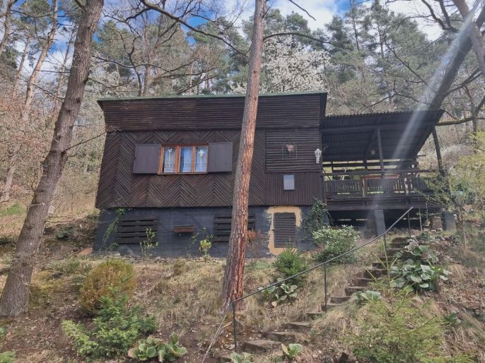 Pronájem, Chata, Horšovský Týn