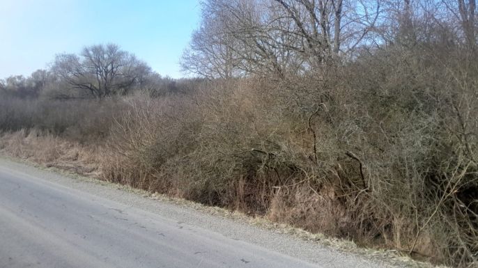 Prodej, Ostatní, Jinín