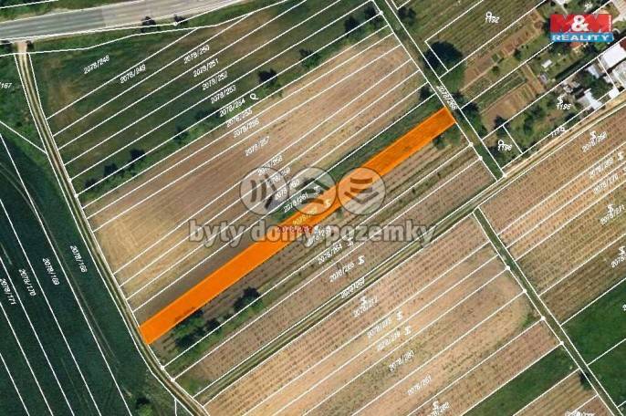 Prodej, Vinice, Hrušky