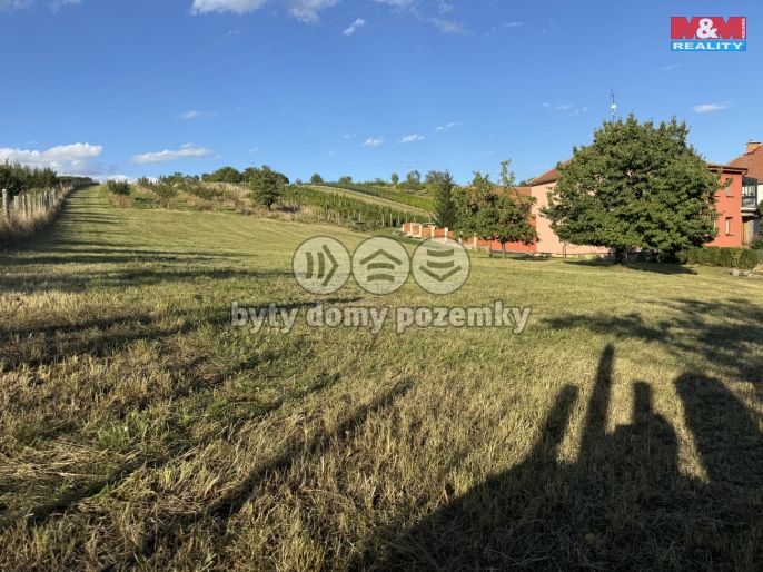 Prodej, Pozemek k bydlení, Borkovany