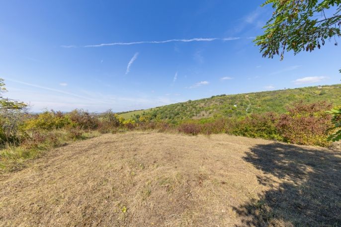 Prodej, Zahrada, Židlochovice