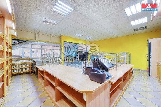 Pronájem, Obchodní objekt, Třemošná