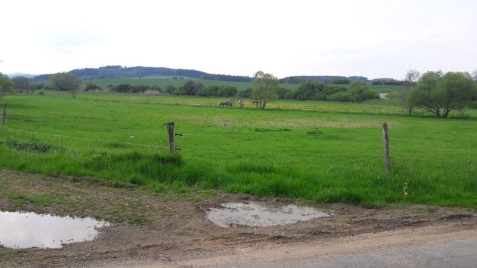 Prodej, Pole, Zvěstov