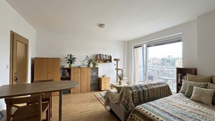 Prodej, Byt 1+kk, Brno