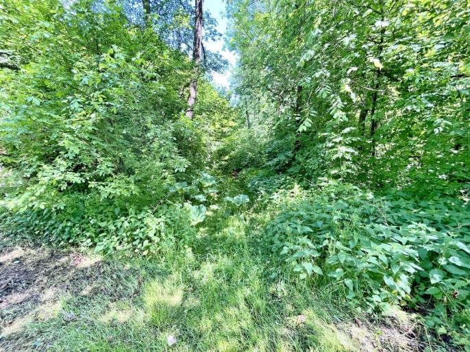 Prodej, Vodní plocha, Skalice u České Lípy