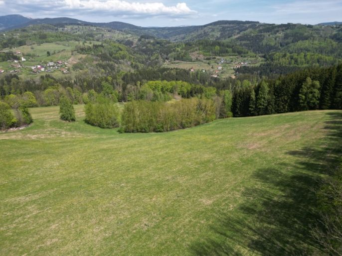 Prodej, Pole, Vysoké nad Jizerou