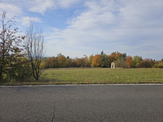 Prodej, Pole, Olomouc