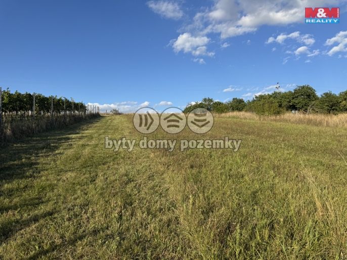 Prodej, Pozemek k bydlení, Borkovany