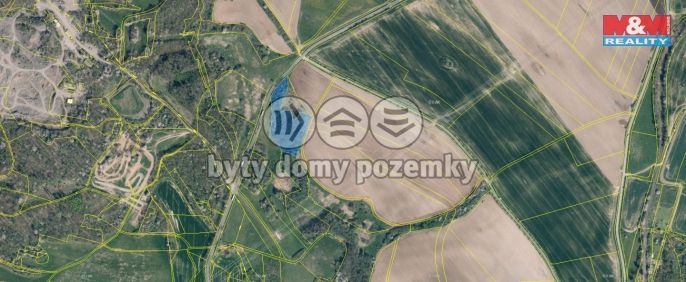 Prodej, Les, Blíževedly