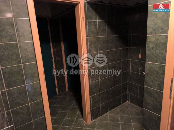 Prodej, Obchod a služby, Břidličná