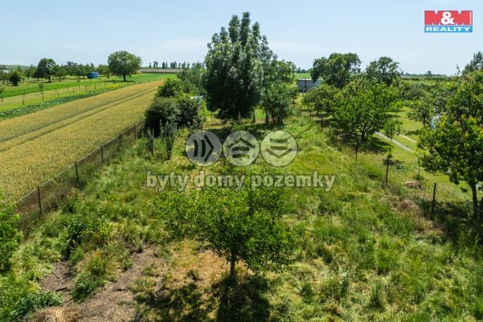 Prodej, Rodinný dům, Moutnice