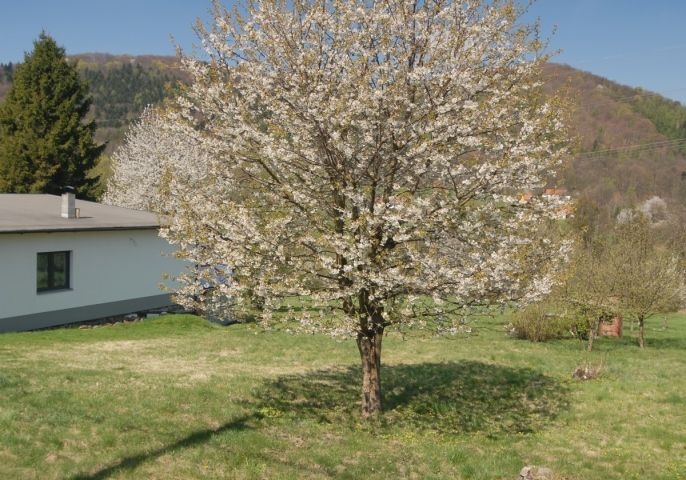 Prodej, Pozemek k bydlení, Kozlovice