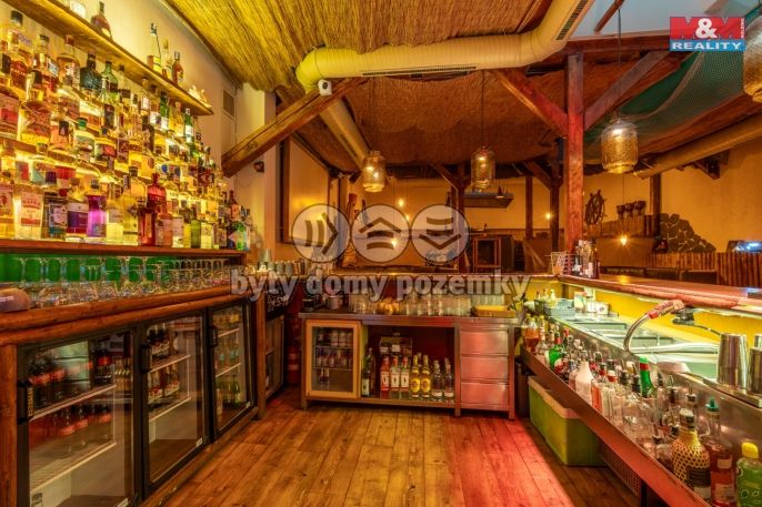 Prodej, Restaurace, stravování, Karlovy Vary