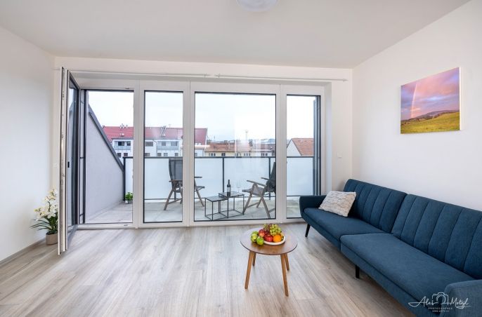 Prodej, Byt 1+kk, České Budějovice