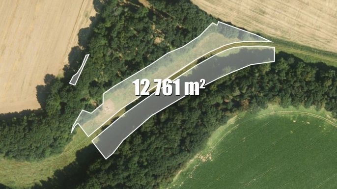 Prodej, Louka, Tachov