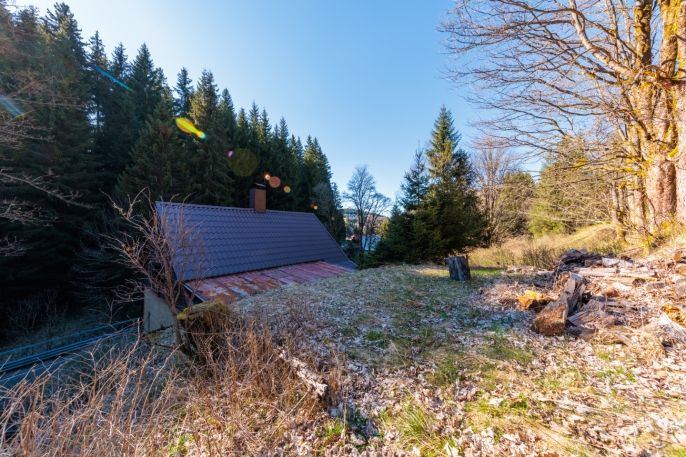 Prodej, Rodinný dům, Potůčky