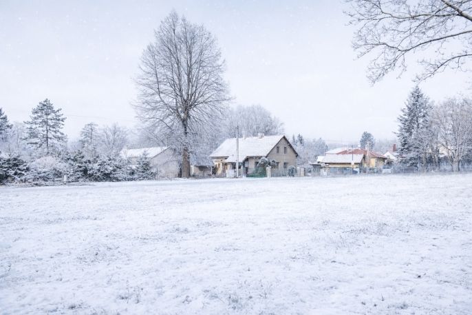 Prodej, Zahrada, Nespeky