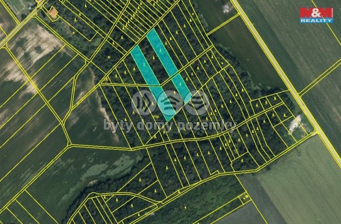 Prodej, Les, Držovice