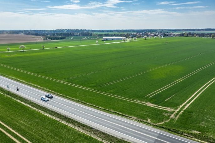 Prodej, Pole, Čistá